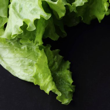 Stüdyo yansıma yeşil salata doku seçilen odak.