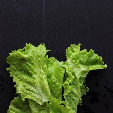 Stüdyo yansıma yeşil salata doku seçilen odak.