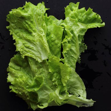 Stüdyo yansıma yeşil salata doku seçilen odak.