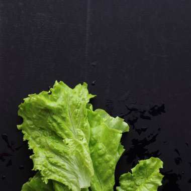 Stüdyo yansıma yeşil salata doku seçilen odak.