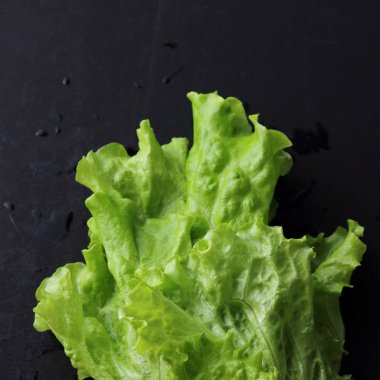 Stüdyo yansıma yeşil salata doku seçilen odak.