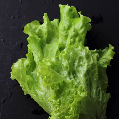 Stüdyo yansıma yeşil salata doku seçilen odak.