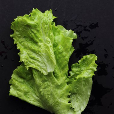 Stüdyo yansıma yeşil salata doku seçilen odak.