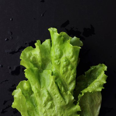 Stüdyo yansıma yeşil salata doku seçilen odak.