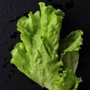 Stüdyo yansıma yeşil salata doku seçilen odak.