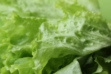 Stüdyo yansıma yeşil salata doku seçilen odak.