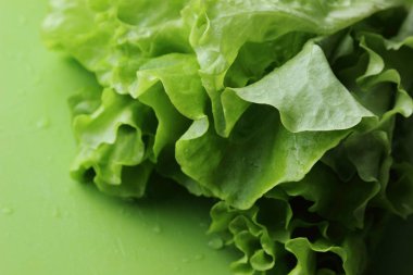 Stüdyo yansıma yeşil salata doku seçilen odak.