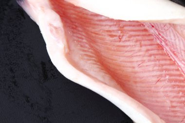 siyah arka plan üzerinde alabalık