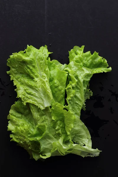 Stüdyo yansıma yeşil salata doku seçilen odak.