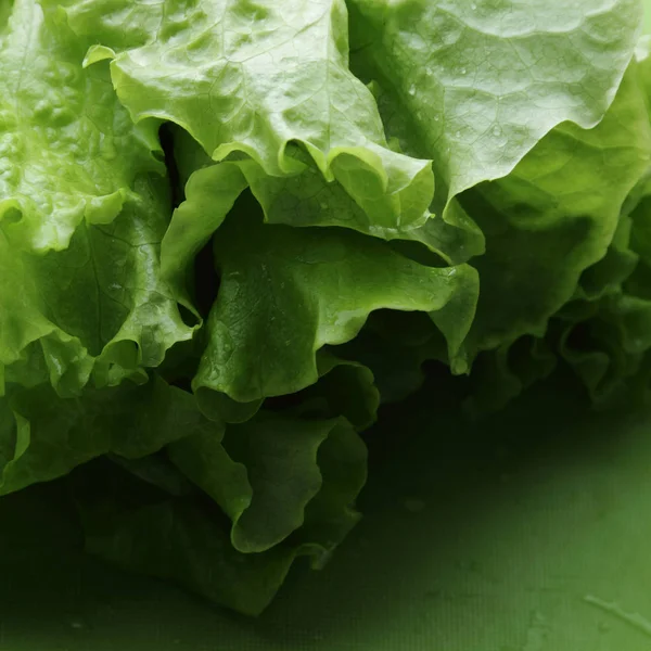 Stüdyo yansıma yeşil salata doku seçilen odak.