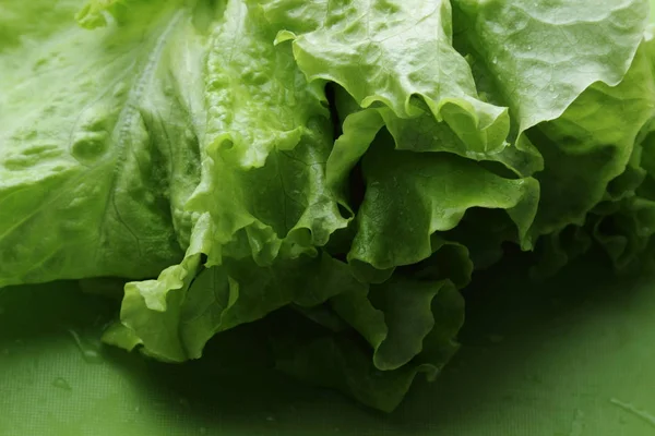 Imagem Estúdio Textura Salada Verde Foco Selecionado — Fotografia de Stock