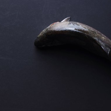 Stüdyo imge-in siyah arka plan üzerinde alabalık