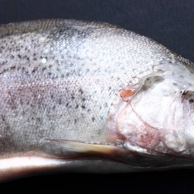 Stüdyo imge-in siyah arka plan üzerinde alabalık