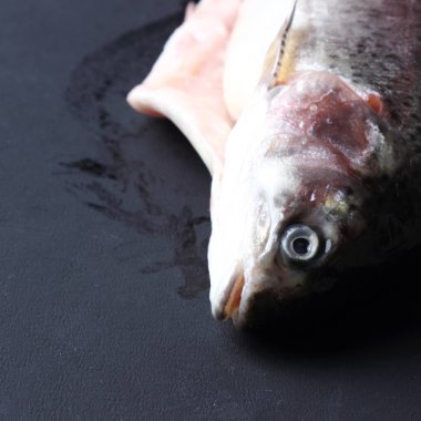 Stüdyo imge-in siyah arka plan üzerinde alabalık