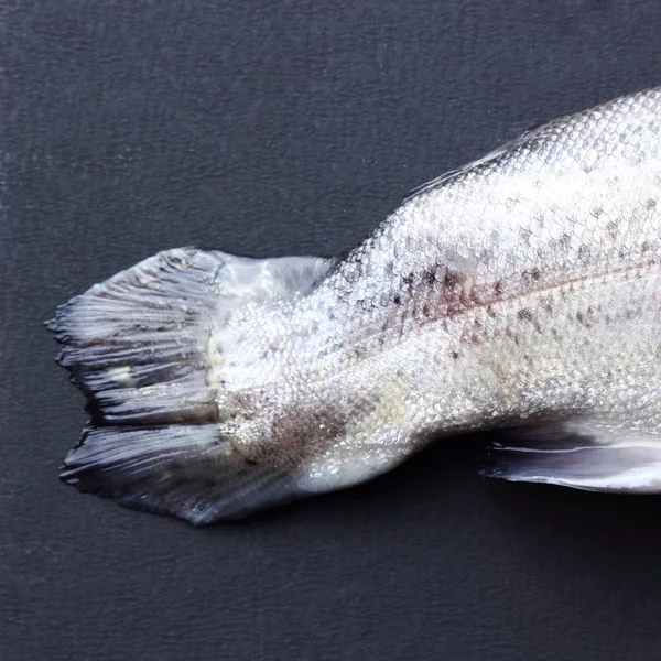 Lahodné čerstvé ryby — Stock fotografie