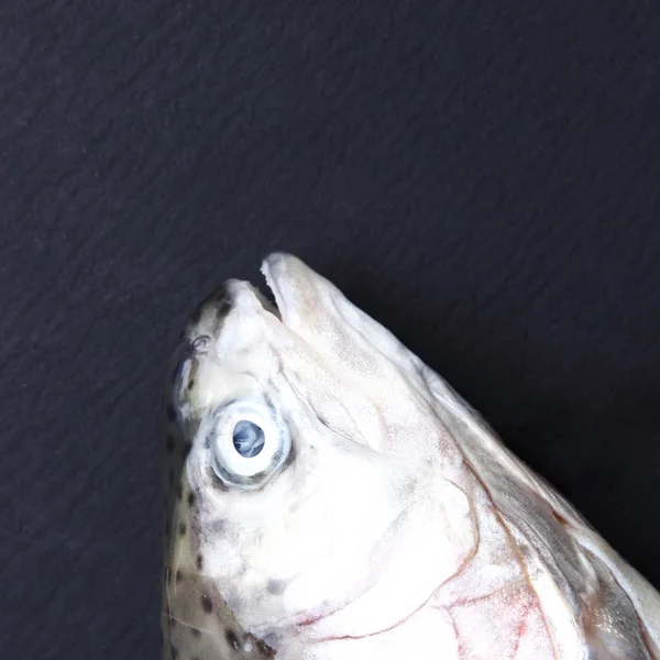 Lahodné čerstvé ryby — Stock fotografie