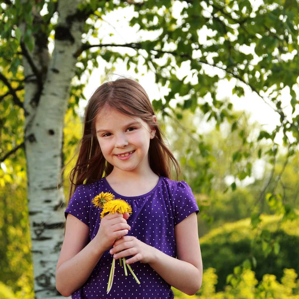 Bambina Con Mucchio Denti Leone Freschi Mano Mosca Russia — Foto Stock