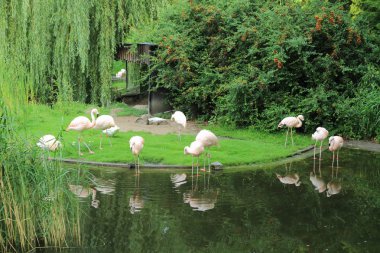 Varşova, Polonya - 3 Ağustos 2017