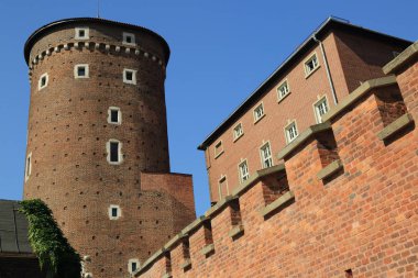 Krakow, Polonya - 1 Ağustos 2017: Wawel hill Katedrali ve Kalesi ile. Wawel Kalesi karmaşık bir tarihi mimari antik kentin merkezidir.