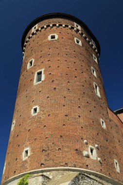 Krakow, Polonya - 1 Ağustos 2017: Wawel hill Katedrali ve Kalesi ile. Wawel Kalesi karmaşık bir tarihi mimari antik kentin merkezidir.