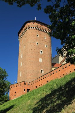 Krakow, Polonya - 1 Ağustos 2017: Wawel hill Katedrali ve Kalesi ile. Wawel Kalesi karmaşık bir tarihi mimari antik kentin merkezidir.