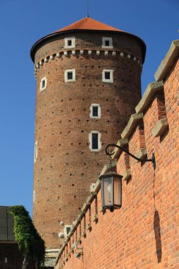 Krakow, Polonya - 1 Ağustos 2017: Wawel hill Katedrali ve Kalesi ile. Wawel Kalesi karmaşık bir tarihi mimari antik kentin merkezidir.