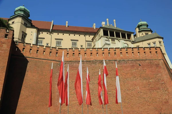 Kraków Polska Sierpnia 2017 Wzgórze Wawelskie Katedry Zamku Zamek Królewski — Zdjęcie stockowe