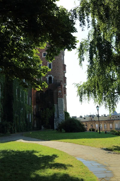 Krakow Polen Augustus 2017 Wawel Heuvel Met Kathedraal Het Kasteel — Stockfoto