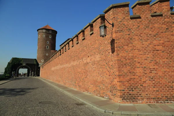 Krakow Pologne 1Er Août 2017 Colline Wawel Avec Cathédrale Château — Photo