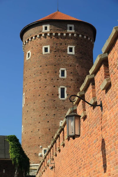 Krakow, Polonya - 1 Ağustos 2017: Wawel hill Katedrali ve Kalesi ile. Wawel Kalesi karmaşık bir tarihi mimari antik kentin merkezidir.