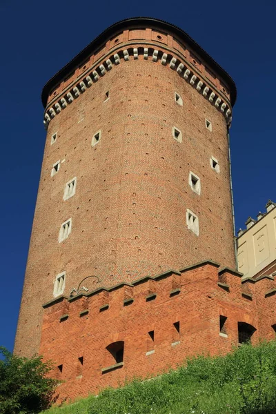 Krakow, Polonya - 1 Ağustos 2017: Wawel hill Katedrali ve Kalesi ile. Wawel Kalesi karmaşık bir tarihi mimari antik kentin merkezidir.