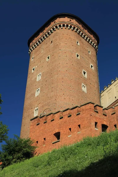 Krakow, Polonya - 1 Ağustos 2017: Wawel hill Katedrali ve Kalesi ile. Wawel Kalesi karmaşık bir tarihi mimari antik kentin merkezidir.