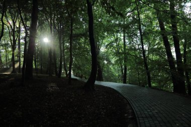 Güneş ışınları yaz yağmur Adam Mickevich Town Sanok, Polonya tarafından adlandırılan parkta sonra ağaçlar ile