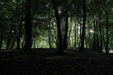 Güneş ışınları yaz yağmur Adam Mickevich Town Sanok, Polonya tarafından adlandırılan parkta sonra ağaçlar ile