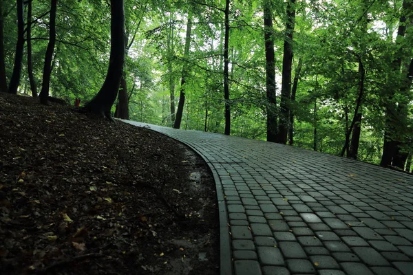 Güneş ışınları yaz yağmur Adam Mickevich Town Sanok, Polonya tarafından adlandırılan parkta sonra ağaçlar ile