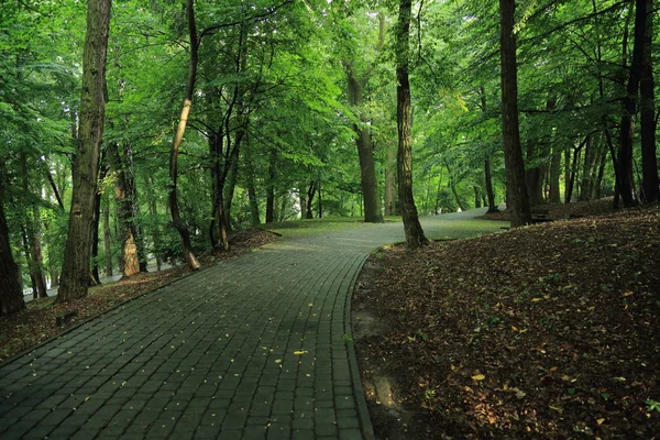 Güneş ışınları yaz yağmur Adam Mickevich Town Sanok, Polonya tarafından adlandırılan parkta sonra ağaçlar ile
