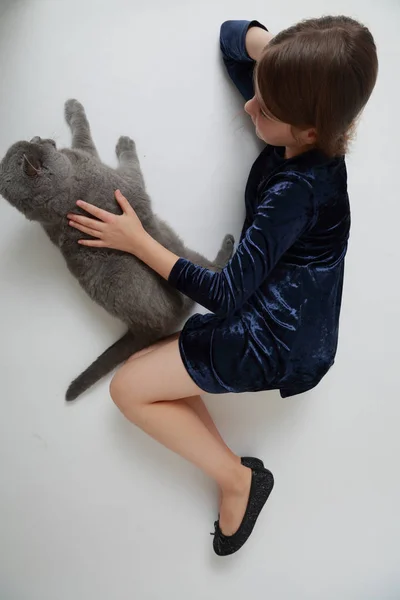 Vackra Kaukasiska Liten Flicka Och Brittiska Katt Studio — Stockfoto