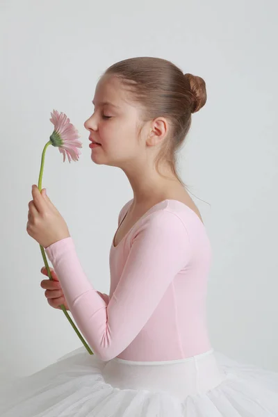Studiobilde av lille ballerina – stockfoto