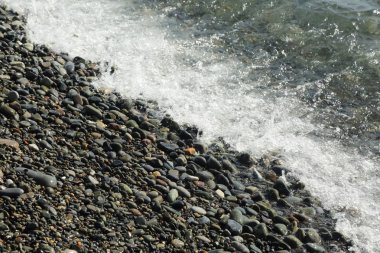 Sahil üzerinden Karadeniz Sochi, Rusya Federasyonu. Seçilen odak.
