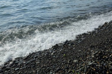 Sahil üzerinden Karadeniz Sochi, Rusya Federasyonu. Seçilen odak.