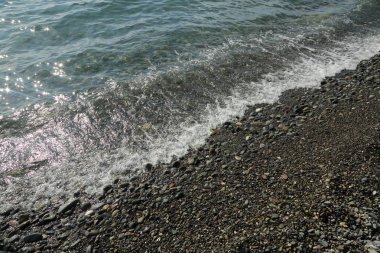 Sahil üzerinden Karadeniz Sochi, Rusya Federasyonu. Seçilen odak.