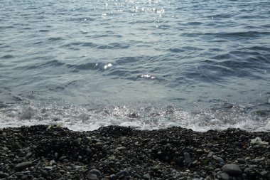 Sahil üzerinden Karadeniz Sochi, Rusya Federasyonu. Seçilen odak.