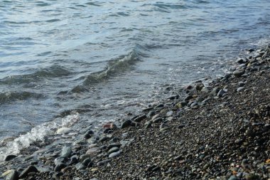 Sahil üzerinden Karadeniz Sochi, Rusya Federasyonu. Seçilen odak.