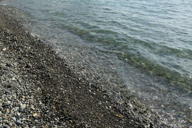 Karadeniz kıyısında peyzaj