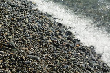 Sahil üzerinden Karadeniz Sochi, Rusya Federasyonu. Seçilen odak.