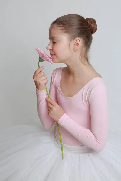 Mooie Kleine Ballerina Roze Gerbera Bloem — Stockfoto