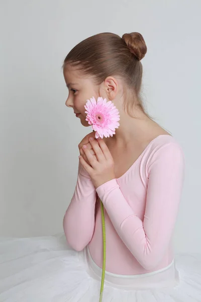 Hermosa Bailarina Flor Rosa Gerbera — Foto de Stock