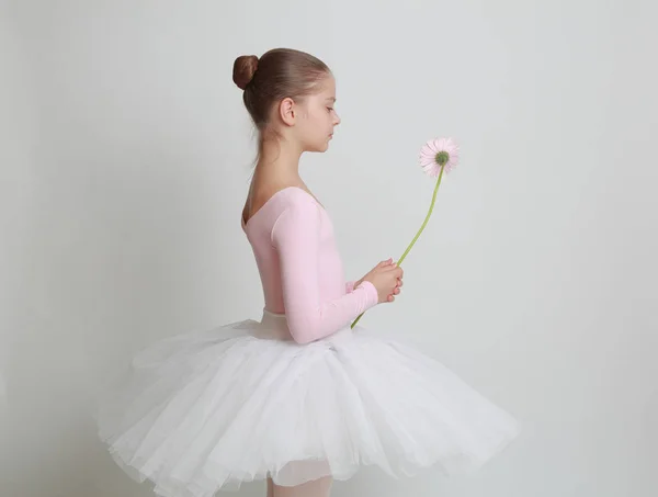 漂亮的小芭蕾舞演员和粉色非洲菊花 — 图库照片