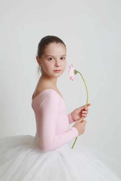 Vackra Lilla Ballerina Och Rosa Gerbera Blomma — Stockfoto