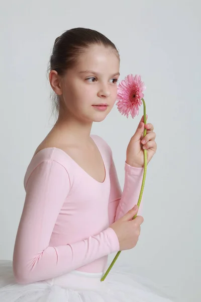 Krásná Malá Baletka Růžová Kytička Gerbera — Stock fotografie